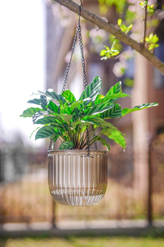 Melphoe compact self-watering pot, convenient moisture control during trips.