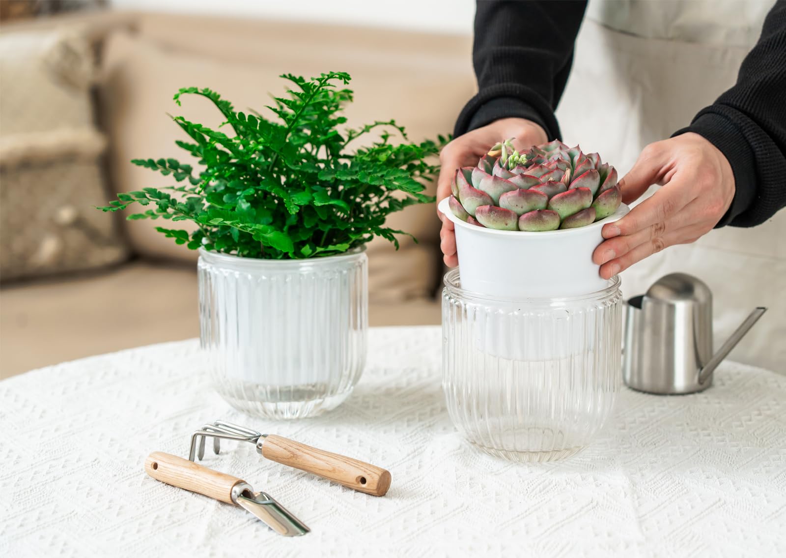 Melphoe hanging planter with detachable chain for indoor or outdoor display