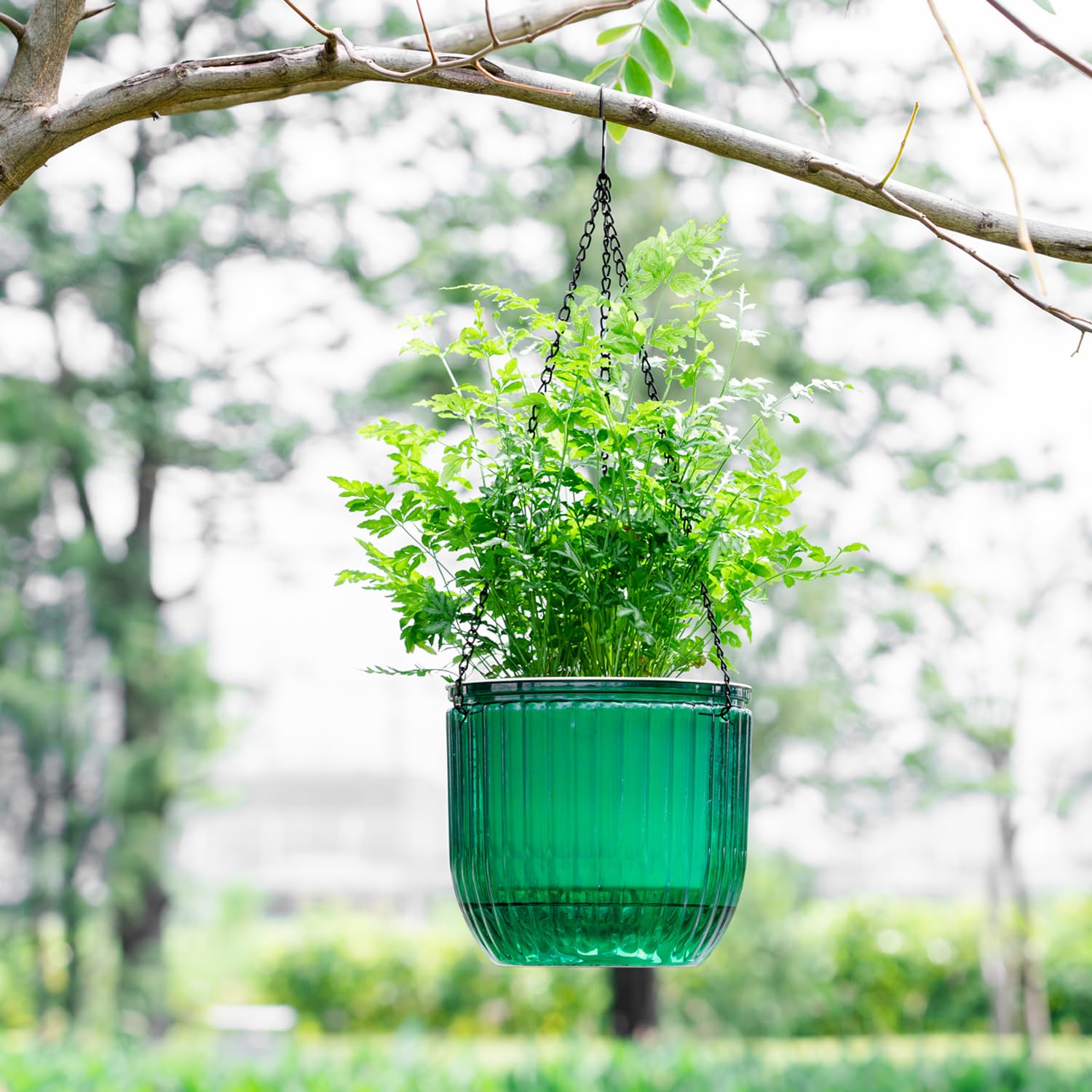 Melphoe detachable hanging chains offer flexible indoor or outdoor display.