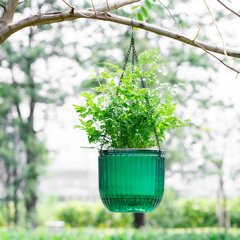 Melphoe detachable hanging chains offer flexible indoor or outdoor display.