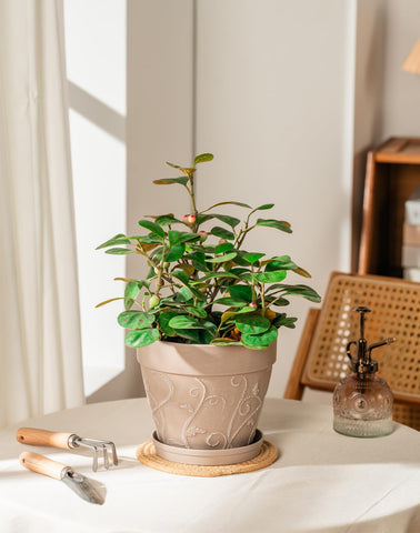 Melphoe durable PP resin planter, weather resistant for outdoor use.