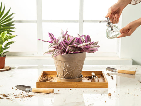 Melphoe embossed pattern pot highlights artistic texture in home decor.
