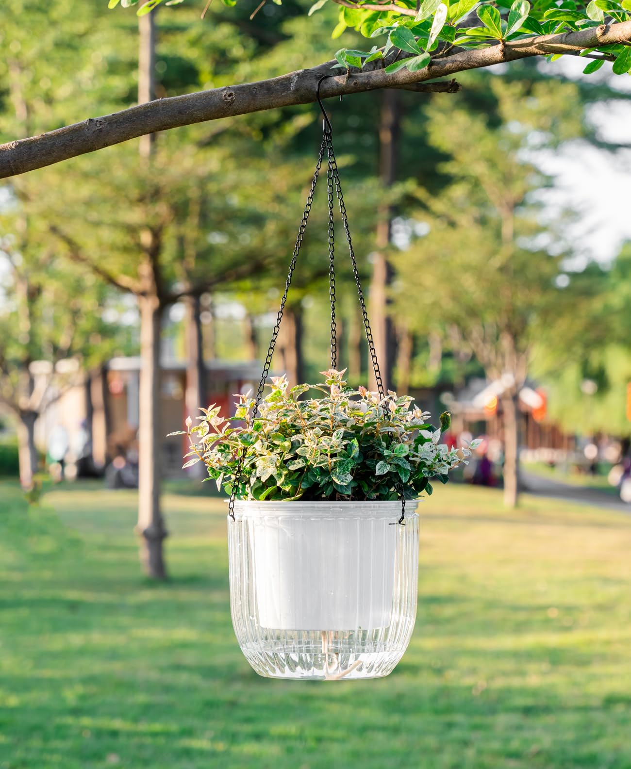 Melphoe flat-bottom desk planter fits on shelves without chains