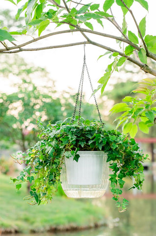 Melphoe garden-ready planter enhances porches with stylish practicality
