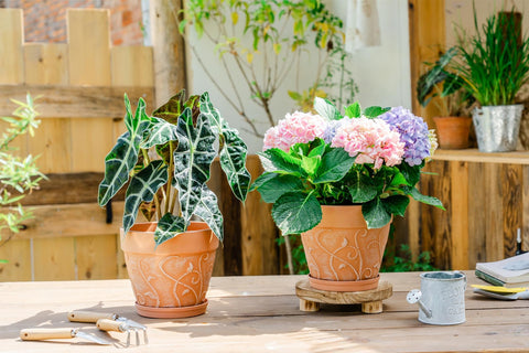 Rigid plastic construction provides durable yet lightweight 8-inch planter.
