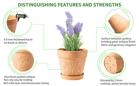 Drainage holes with saucer keep soil dry and surfaces clean.