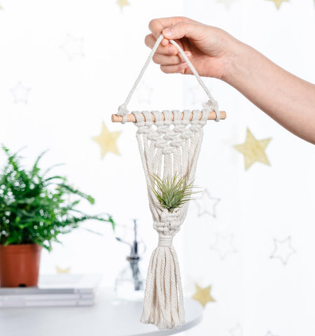 Melphoe indoor outdoor plant display fits patios or living rooms with ease