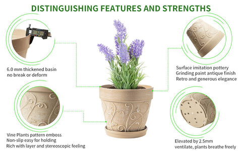 Melphoe indoor-outdoor planter, perfect for succulents, herbs, and small plants.