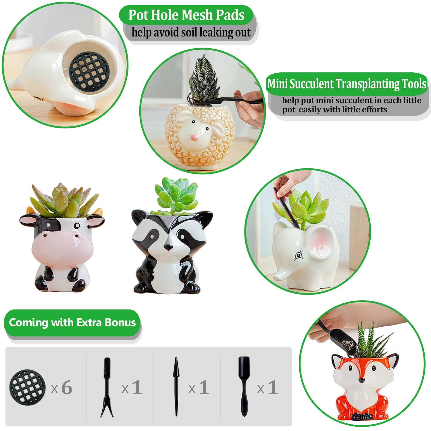 Melphoe kitchen-friendly mini planter for herbs, cacti, or flowers.