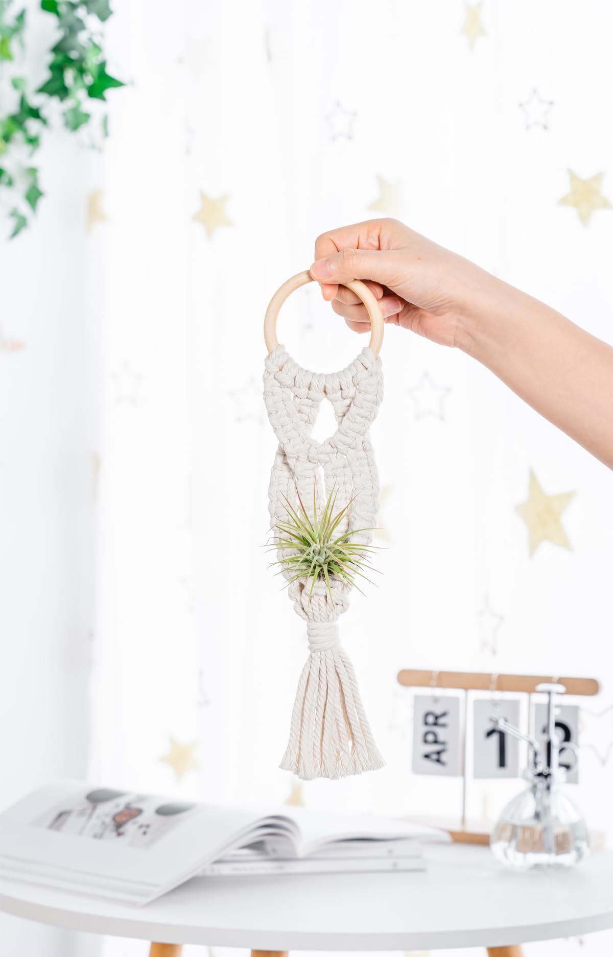 Melphoe macrame air plant hanger adds handcrafted boho charm to your space