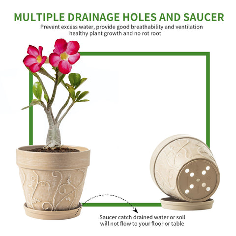 Melphoe pot with multiple drainage holes promotes healthy root airflow.
