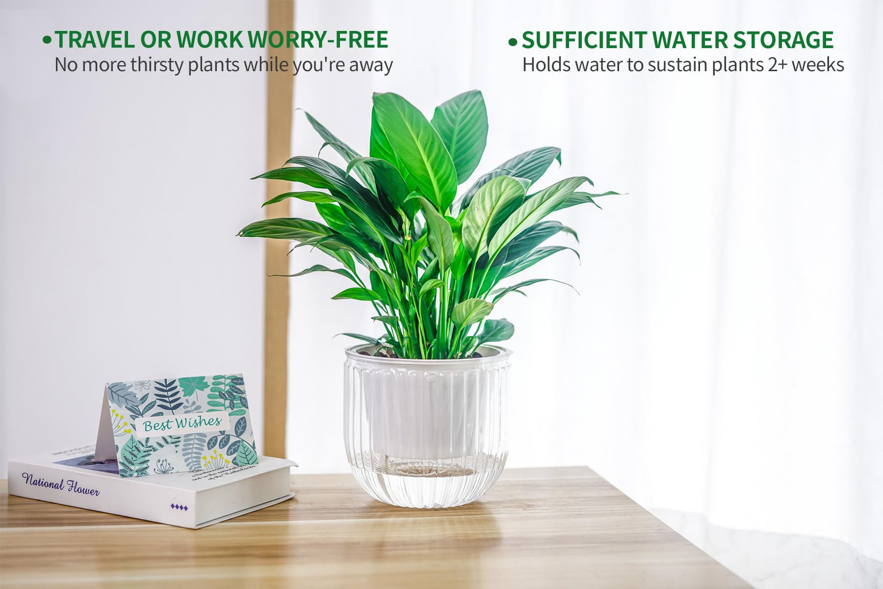 Melphoe planter ideal for patio, balcony, kitchen shelf, or windowsill