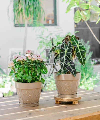 Melphoe plant pot 2-pack provides ready-to-display planters