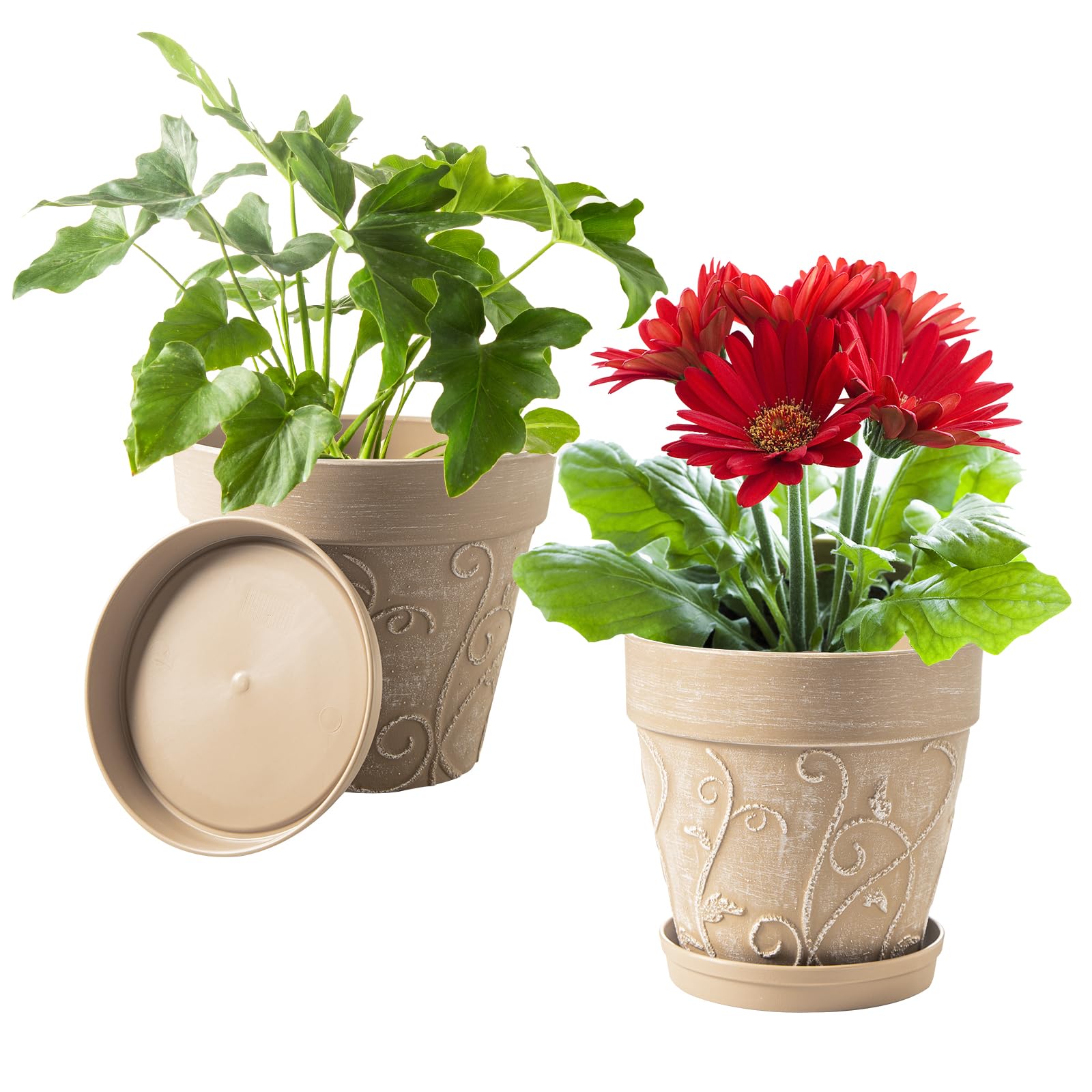 Melphoe 8-inch plant pot with vine-embossed texture for attractive indoor display
