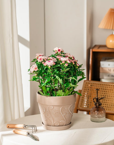 Melphoe plant pot imitation terracotta look adds rustic charm to outdoor setups