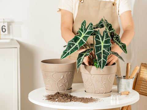 Melphoe plant pot designed for indoor and outdoor use