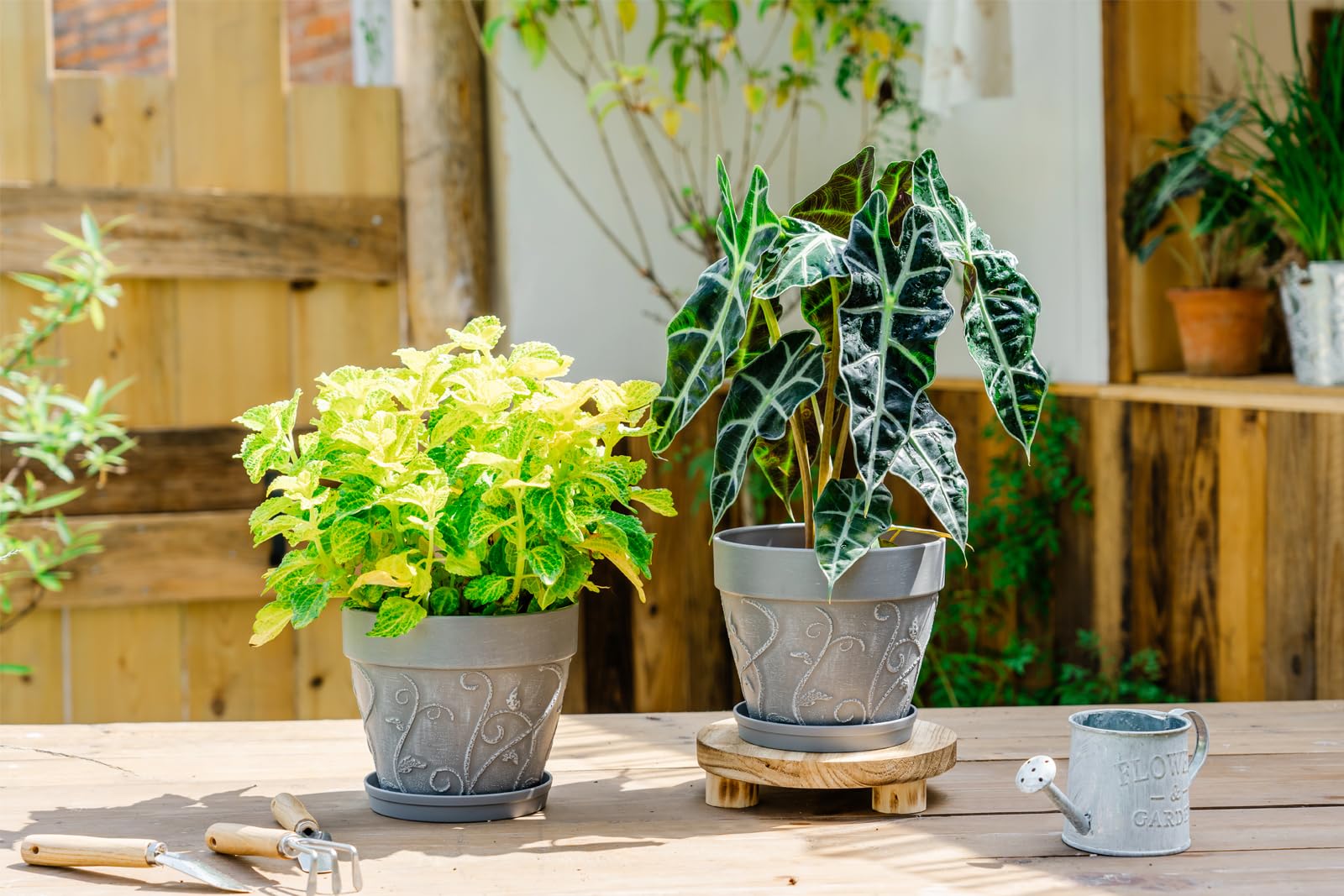 Melphoe 7-inch thick-basin planter offers durability for outdoor use.