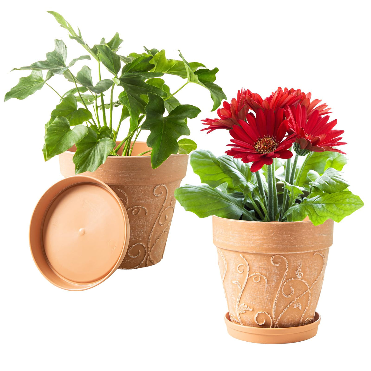 Melphoe 8-inch plant pot with drainage holes and saucer for indoor use.