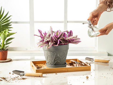 Melphoe elevated-base pot promotes better root airflow.