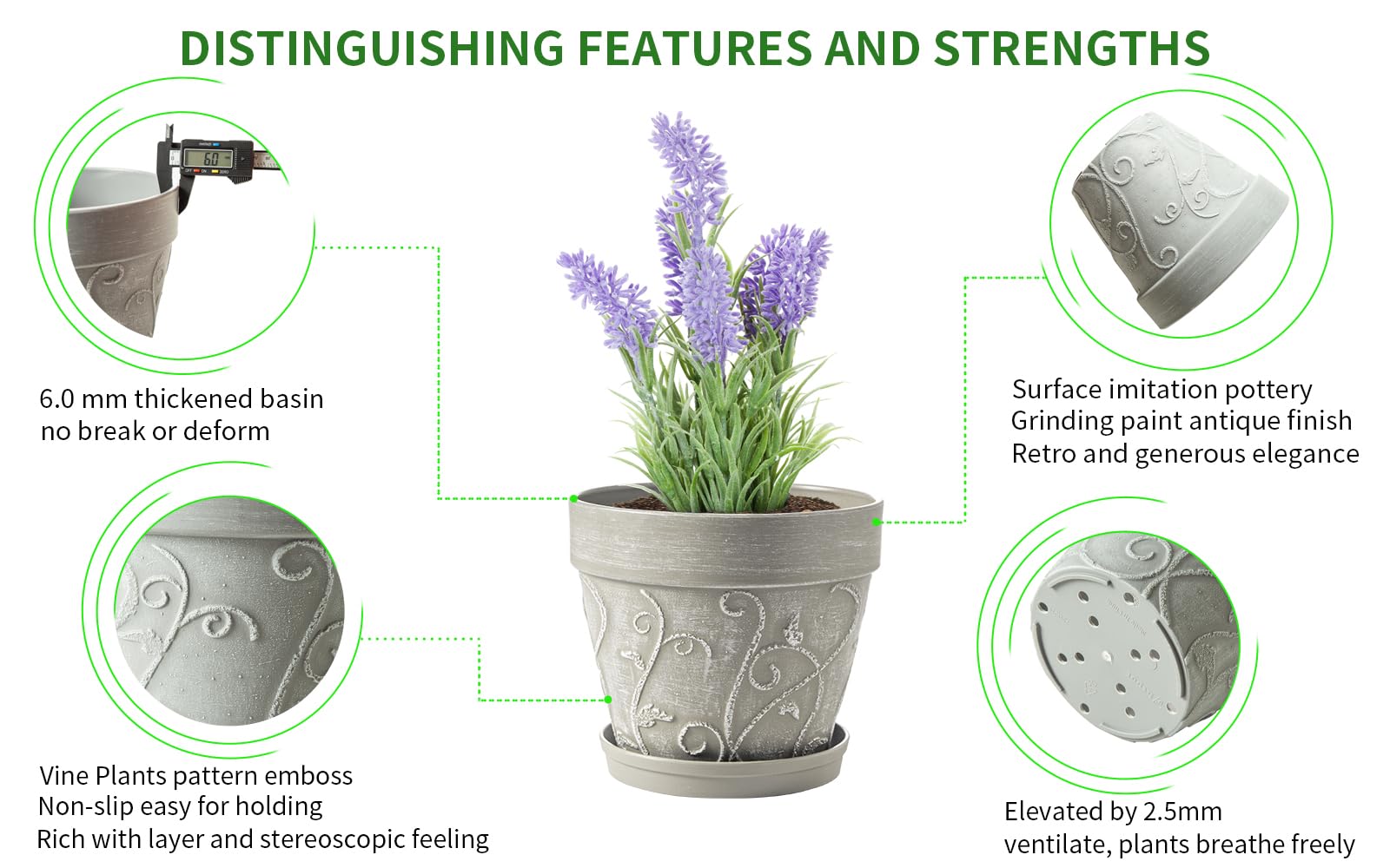 Melphoe indoor-outdoor pot supports diverse home greenery.