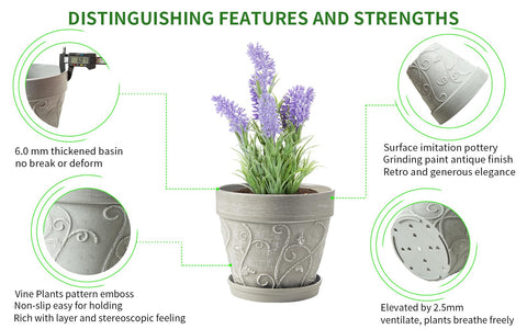 Melphoe indoor-outdoor pot supports diverse home greenery.