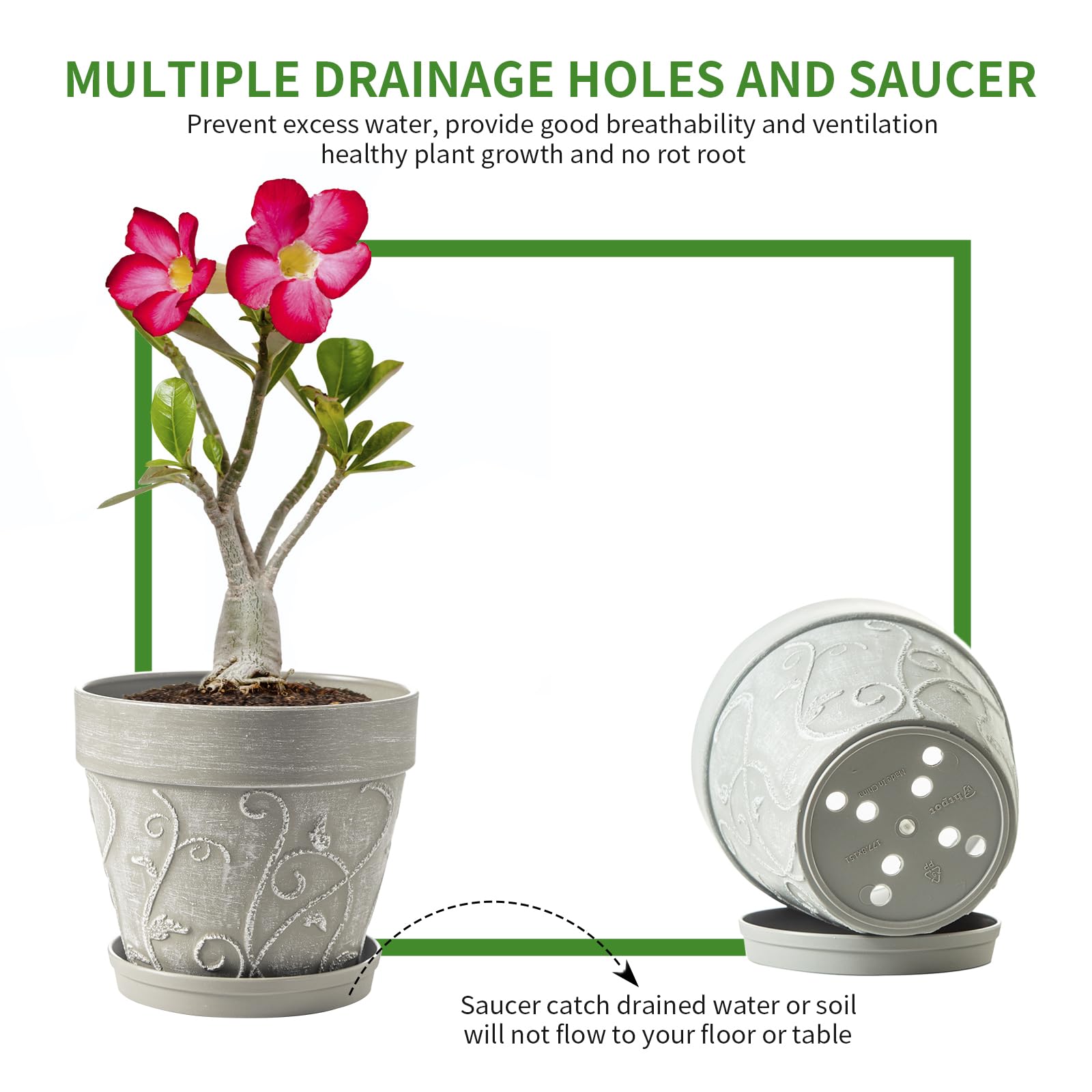 Melphoe saucer-included planter catches drained water for clean floors.