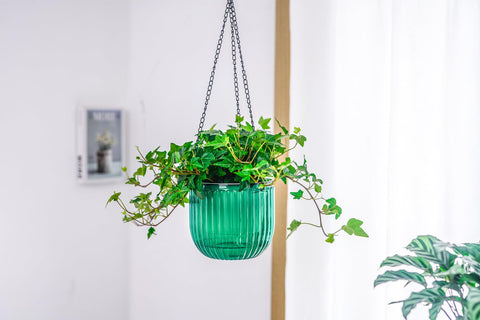 Melphoe lightweight yet sturdy planter basket withstands sun and weather.