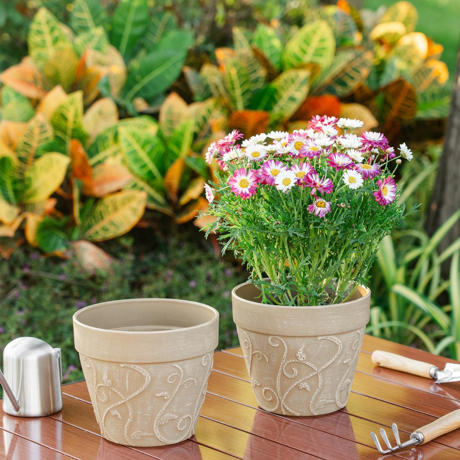 Melphoe saucer included, catches excess water and keeps floors clean.