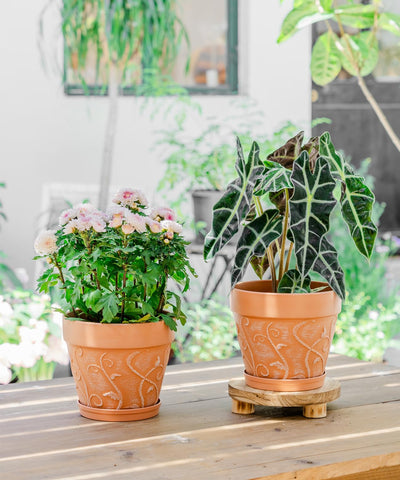 Melphoe planter blends rustic style with modern practicality.