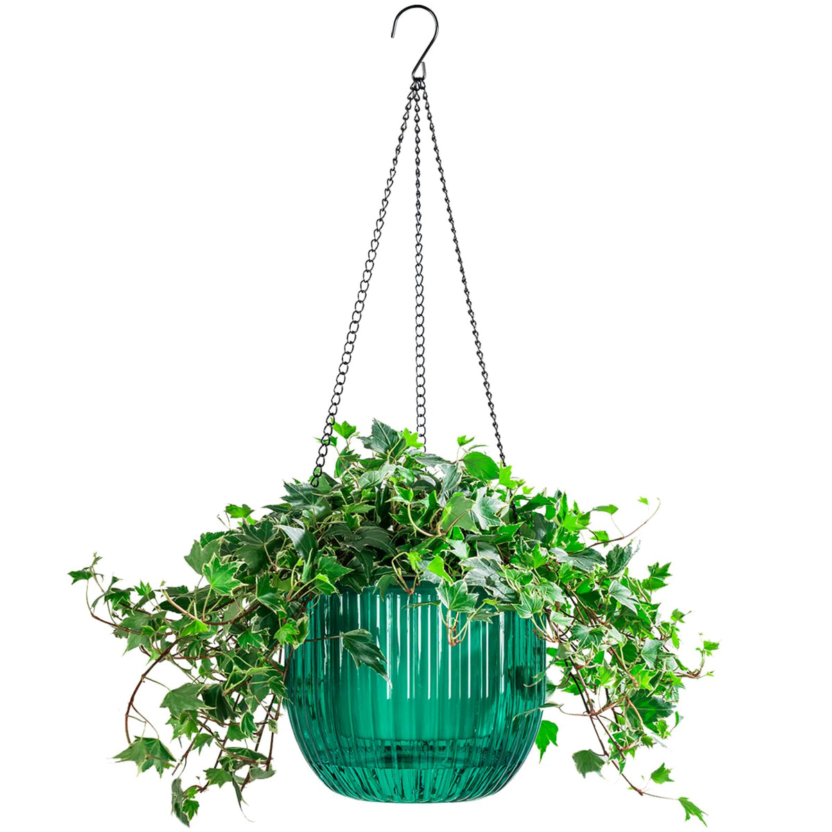 Melphoe self-watering hanging basket with visible wick keeps indoor plants hydrated.
