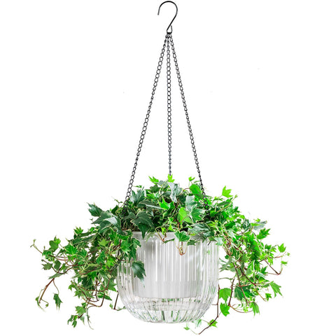 Melphoe self-watering hanging planter shows reservoir level for easy plant care