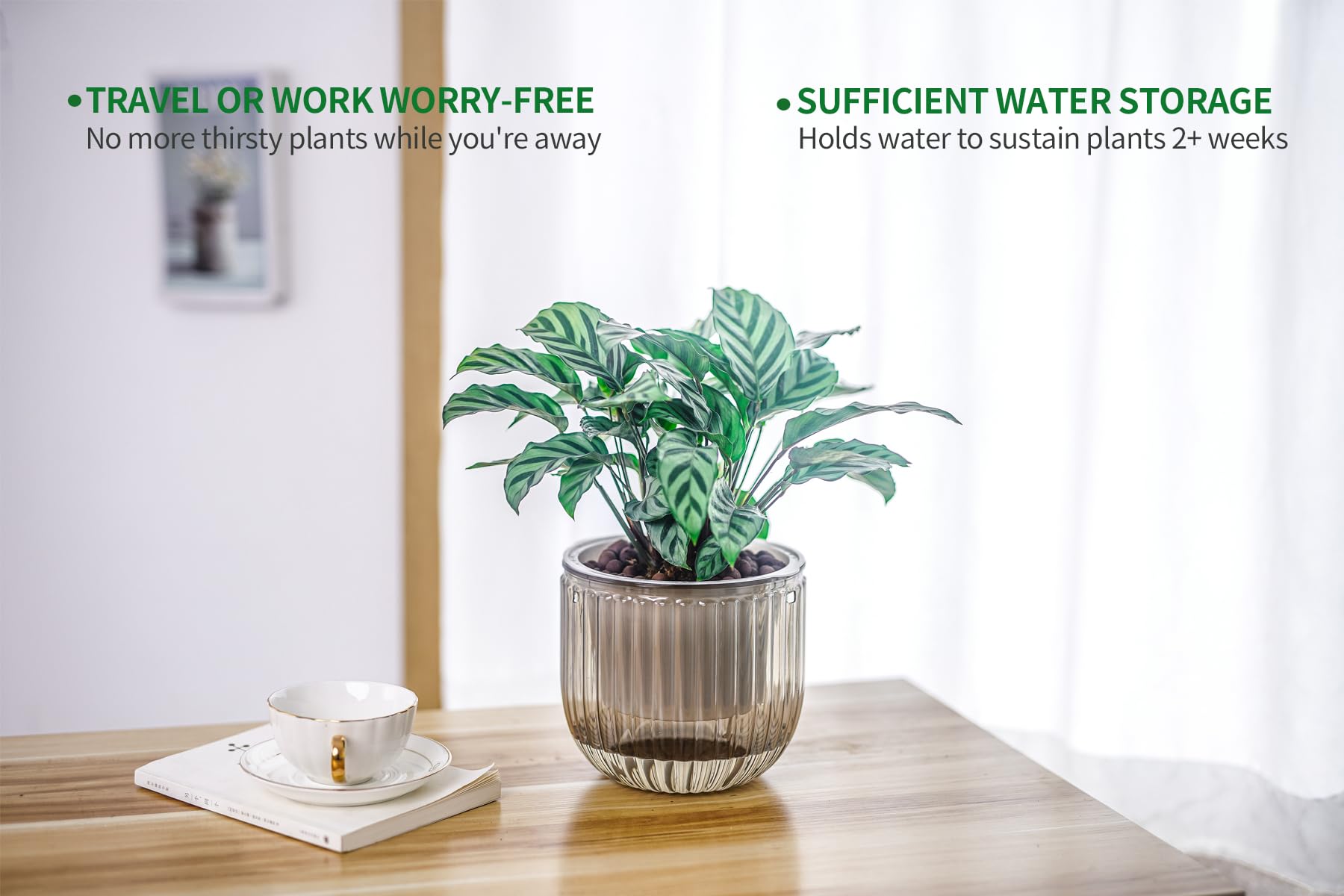 Melphoe planter with drainage holes supports healthy roots and airflow.