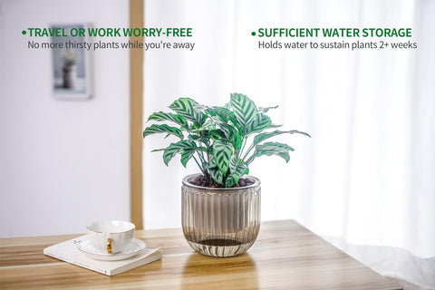 Melphoe planter with drainage holes supports healthy roots and airflow.