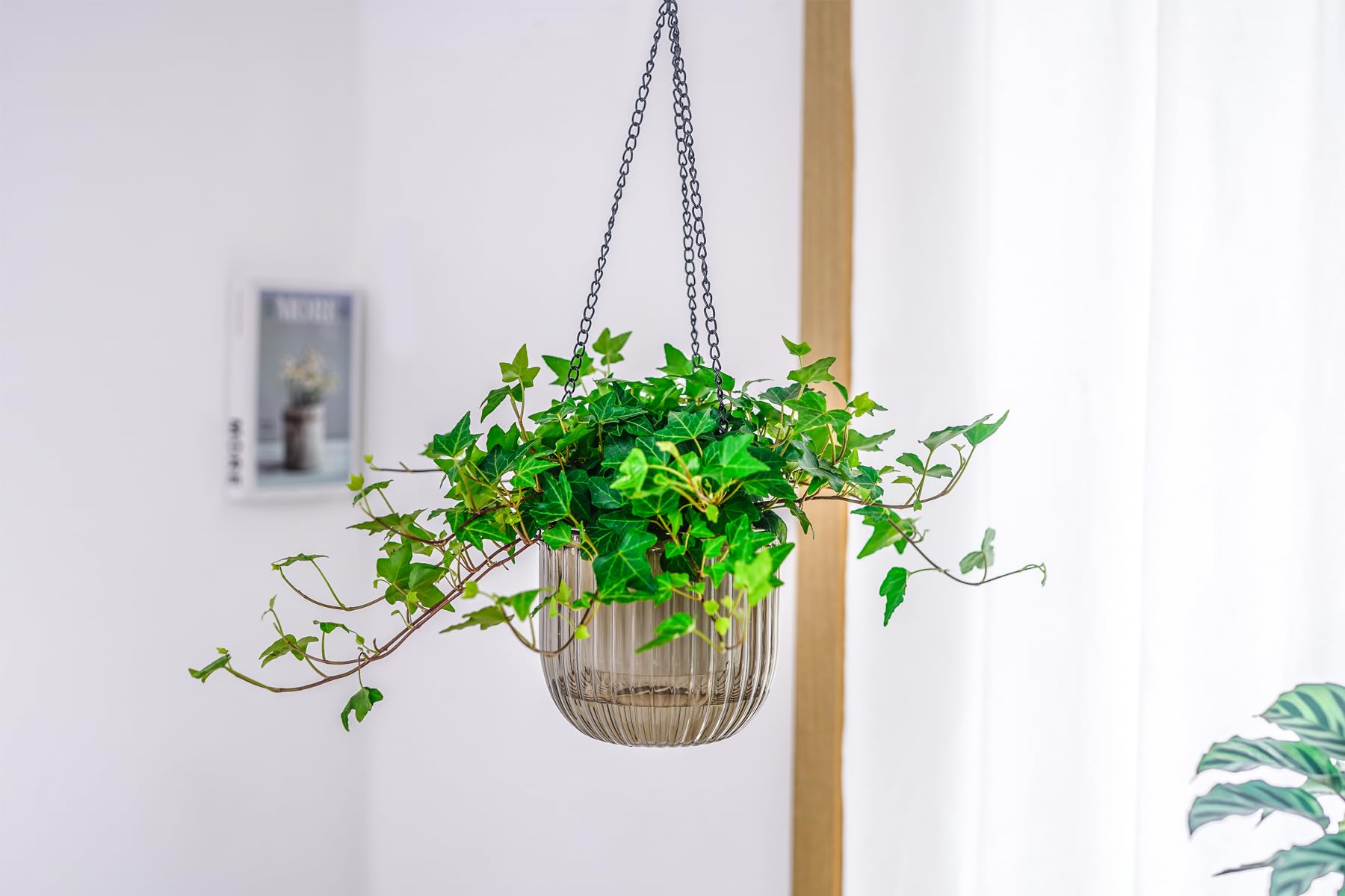 Melphoe hanging baskets with three hooks offer versatile mounting options.