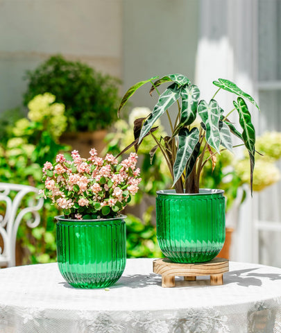 Melphoe self-watering pot drainage system supports root airflow and prevents over-watering.
