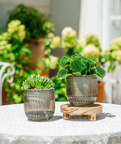 Melphoe 4.3-inch inner pot with wick demonstrates passive moisture feeding.