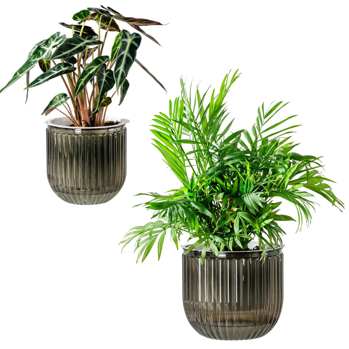 Melphoe self-watering pot outer pot showcases durable two-pack design for indoor gardening.