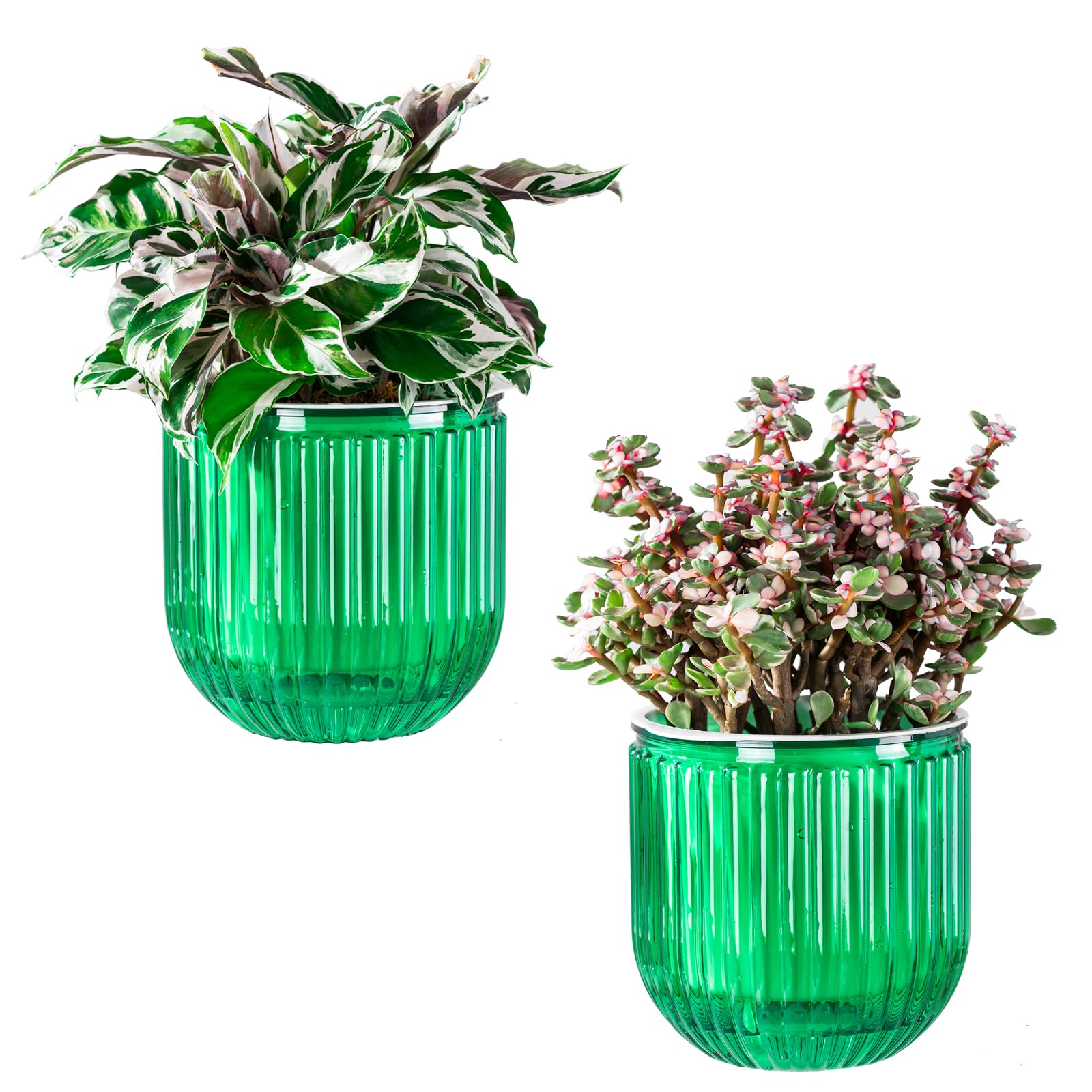 Melphoe self-watering pot outer view shows clear moisture monitoring for easy care.