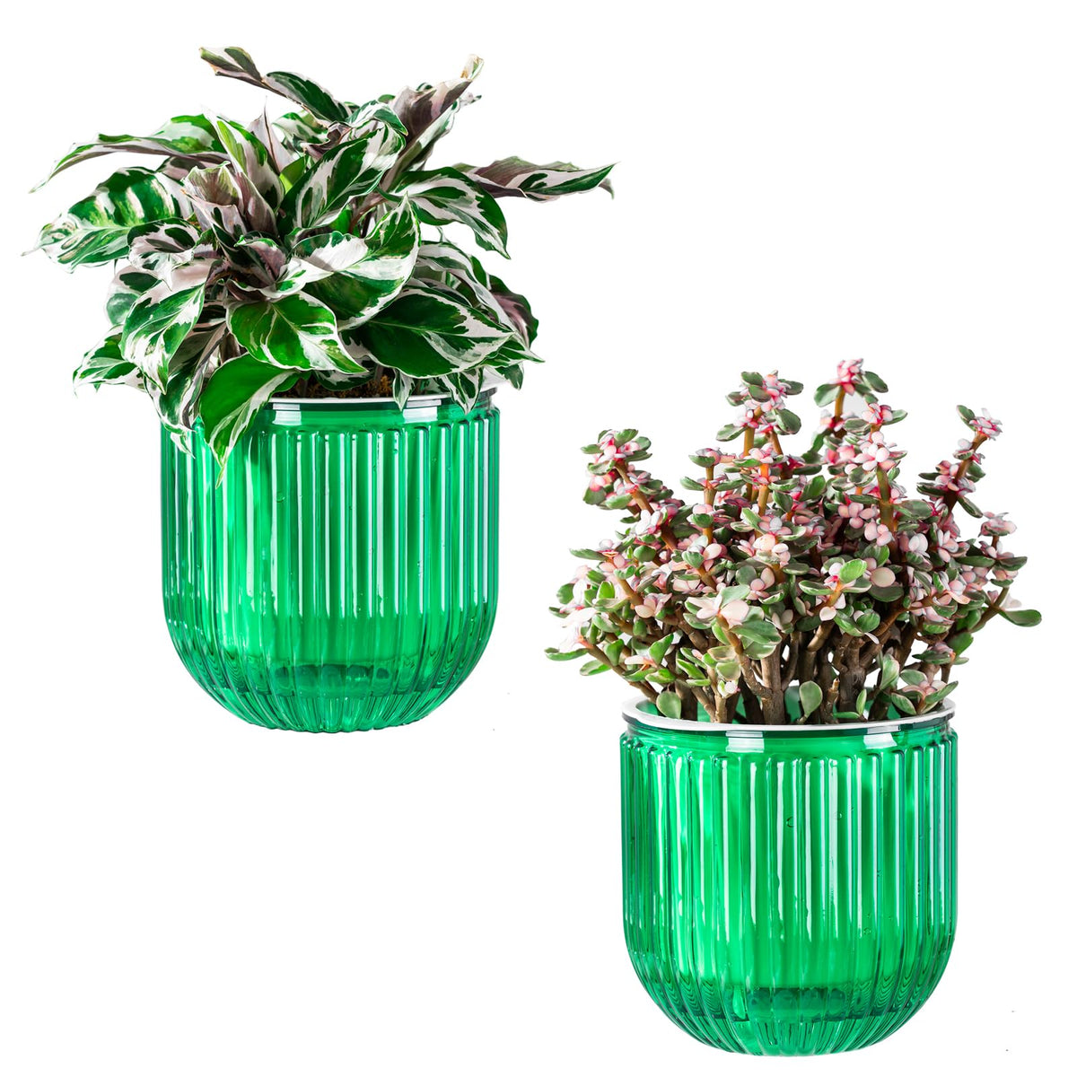 Melphoe self-watering pot outer view shows clear moisture monitoring for easy care.