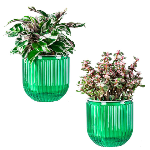 Melphoe self-watering pot outer view shows clear moisture monitoring for easy care.