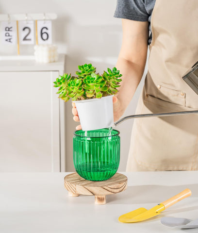 Melphoe pot, transparent resin outer pot, allows clear moisture checks.