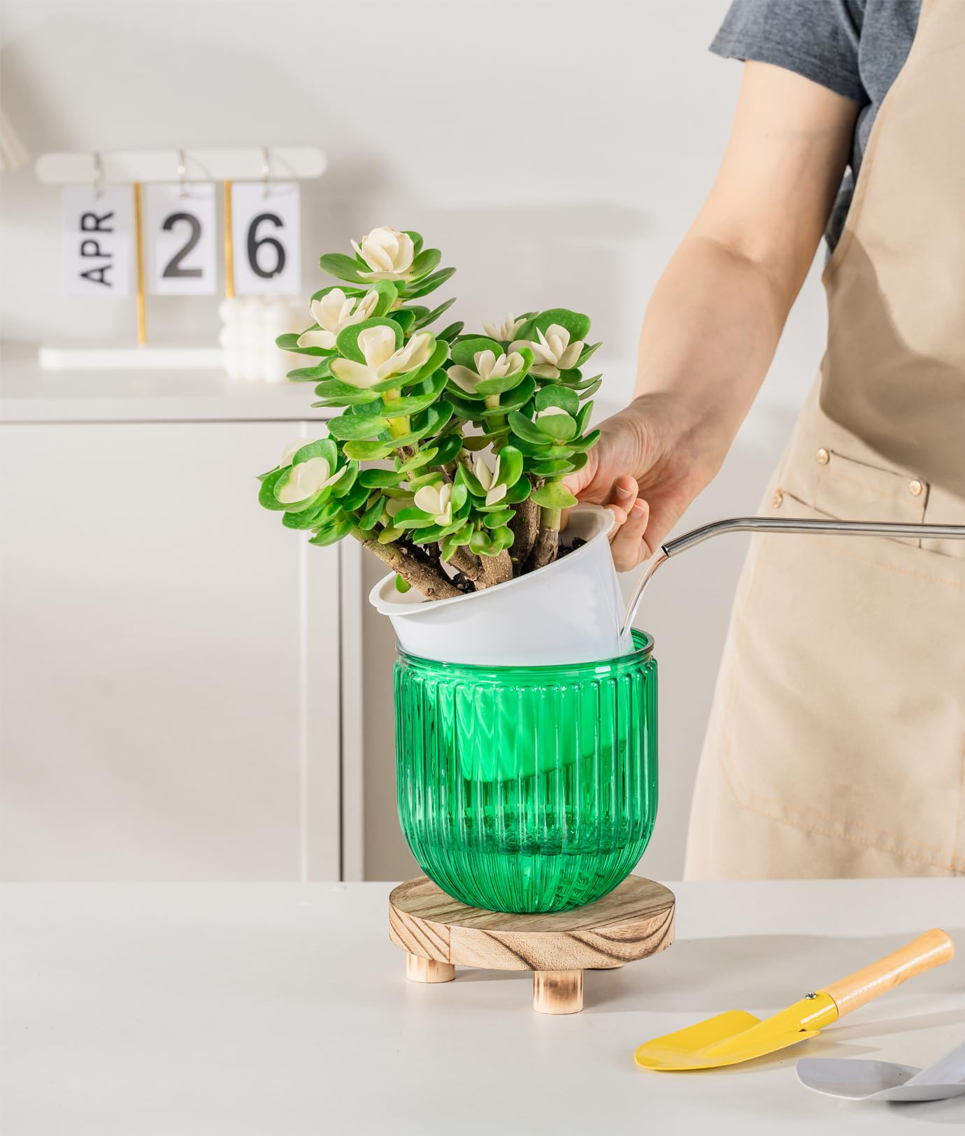 Melphoe self-watering pot various sizes accommodates mini to medium plants.