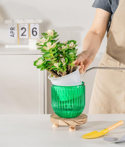 Melphoe self-watering pot various sizes accommodates mini to medium plants.