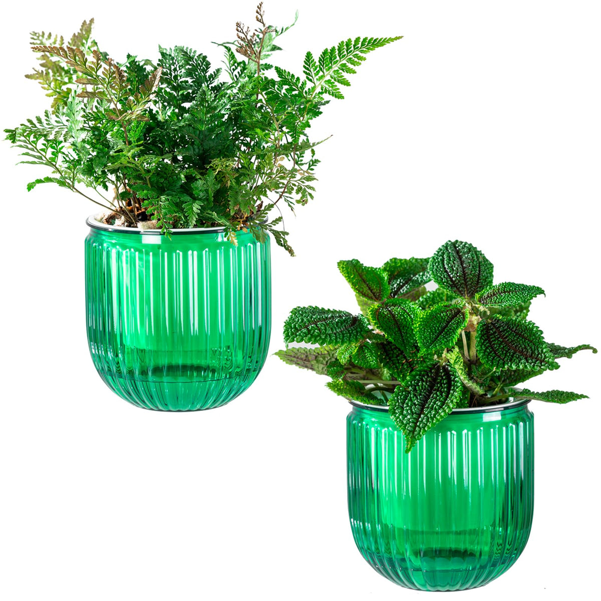 Melphoe self-watering pot with visible water level for easy moisture monitoring.