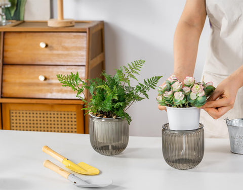 Melphoe self-watering pot with drainage supports tidy indoor plant care.