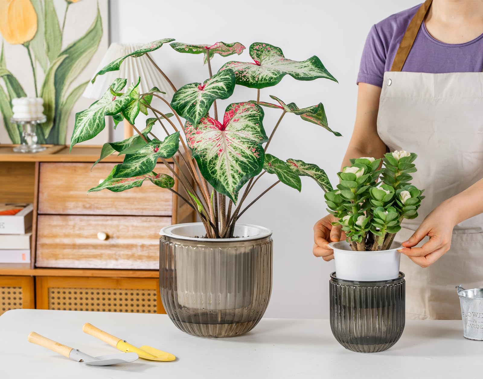 Melphoe self-watering pots in clear resin material highlights moisture and roots.