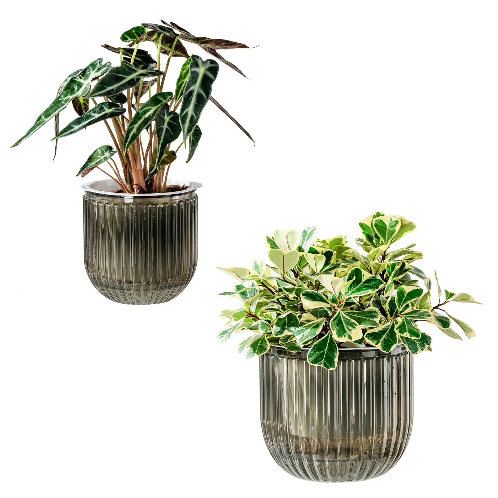 Melphoe self-watering pots with durable outer pot for long lasting indoor gardening.