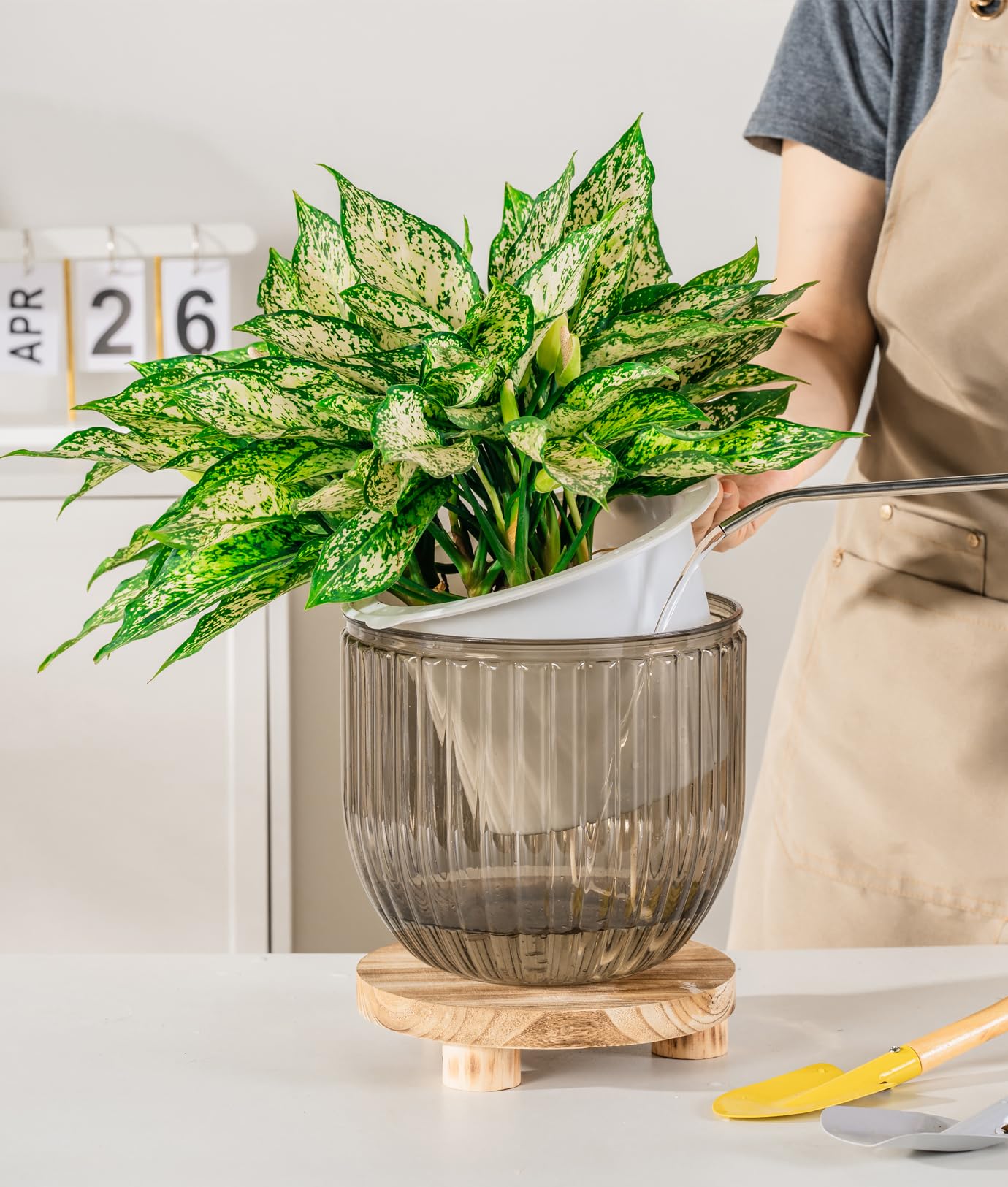 Melphoe self-watering pots in various sizes for mid to large plants.