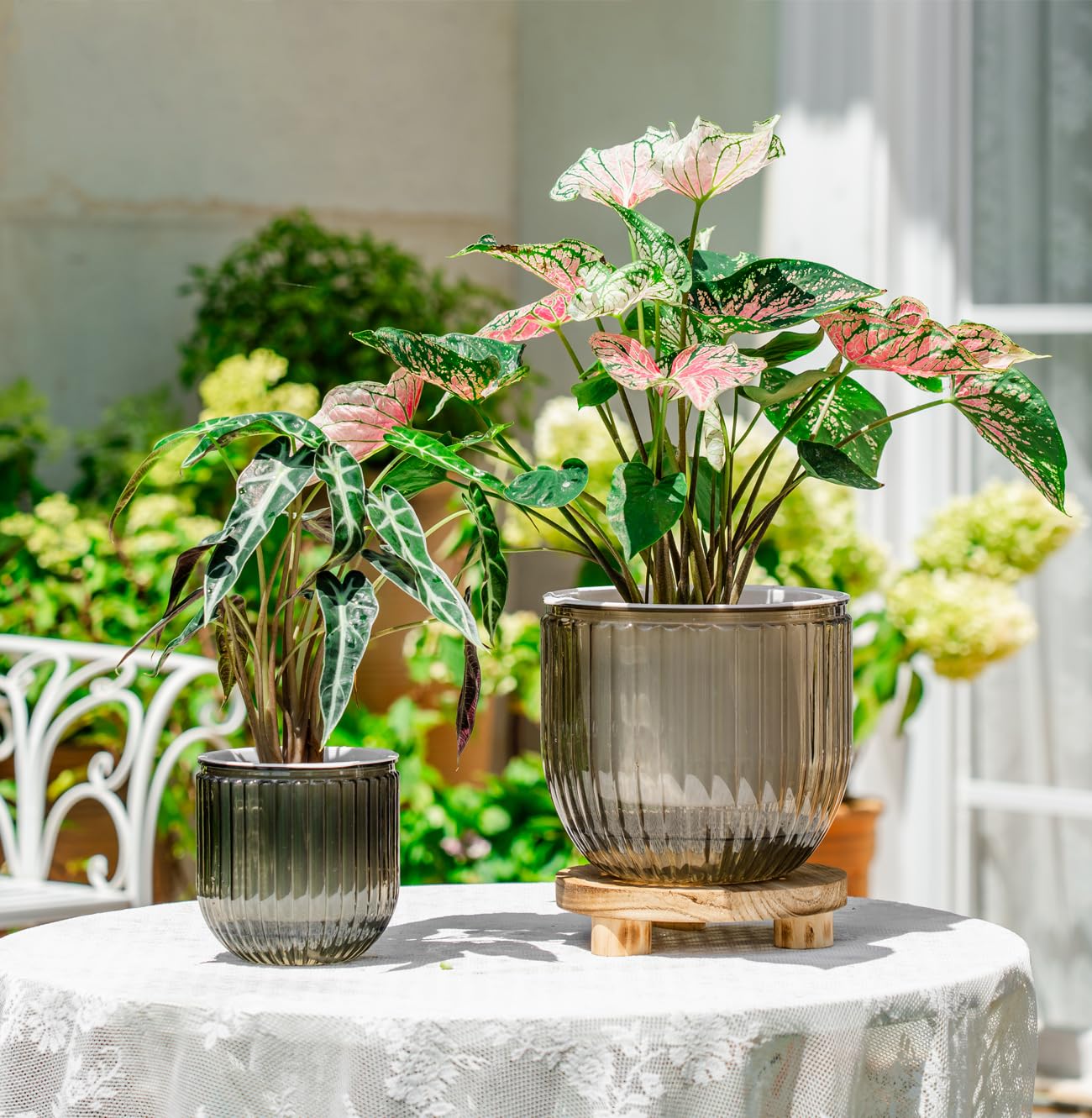 Melphoe self-watering pots showing water level for easy monitoring.