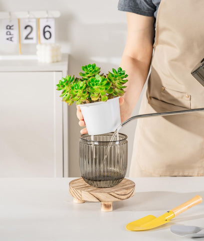 Melphoe transparent resin pot lets you monitor water level at a glance.